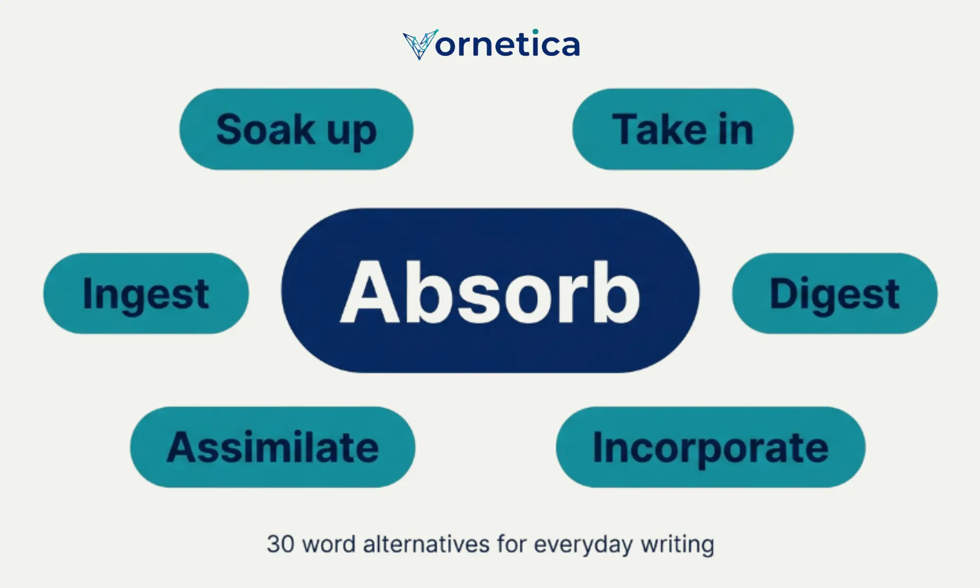 30 synonyms for absorb with meanings and example sentences