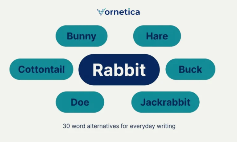 Synonyms for rabbit with bunny, hare, cottontail, and other related rabbit terms