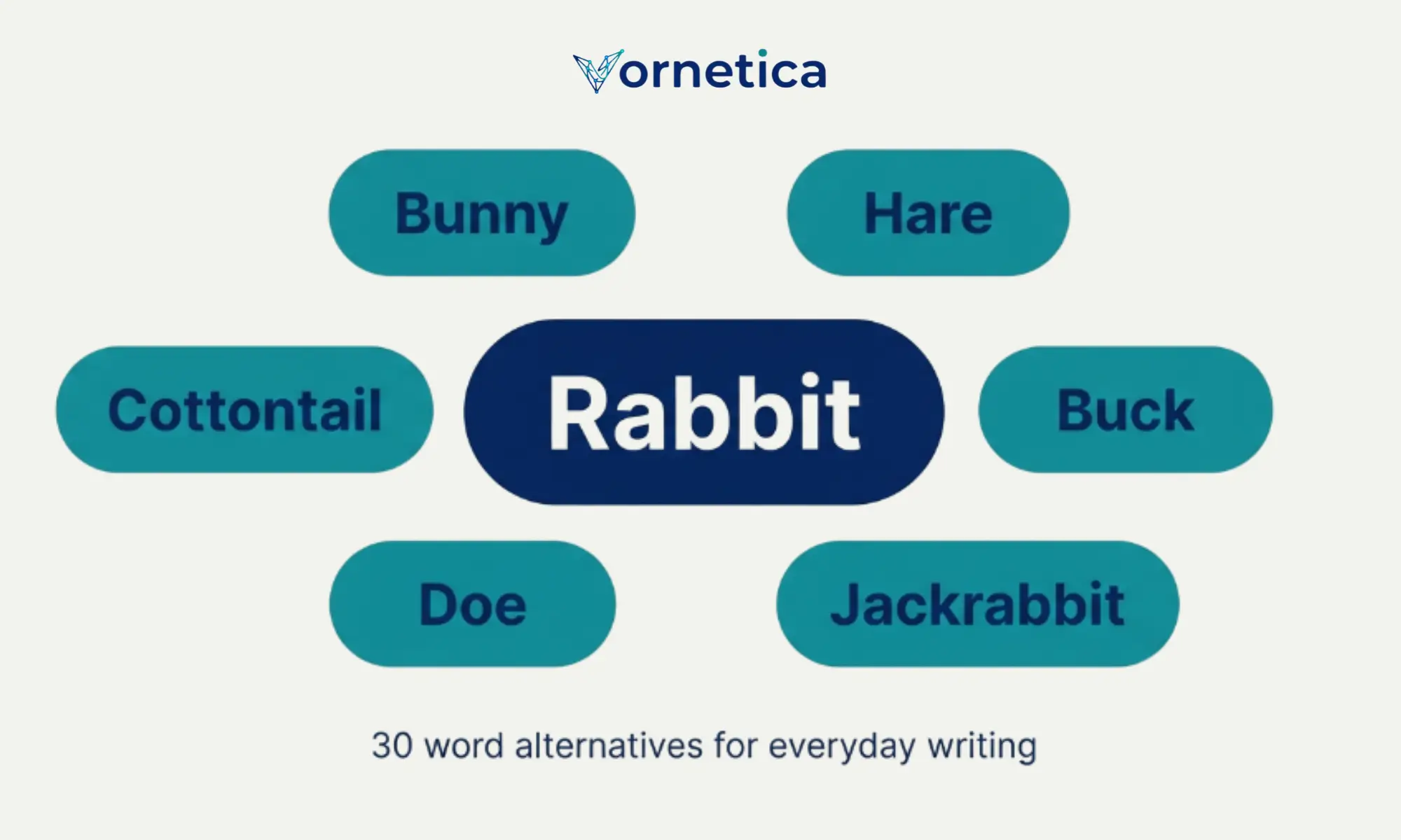 Synonyms for rabbit with bunny, hare, cottontail, and other related rabbit terms